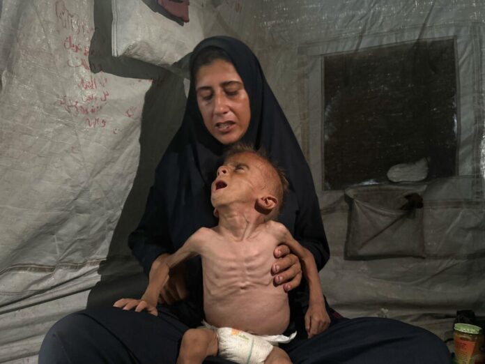 c3c16888-6f12-4e52-b07d-6ba018576c50 (1)