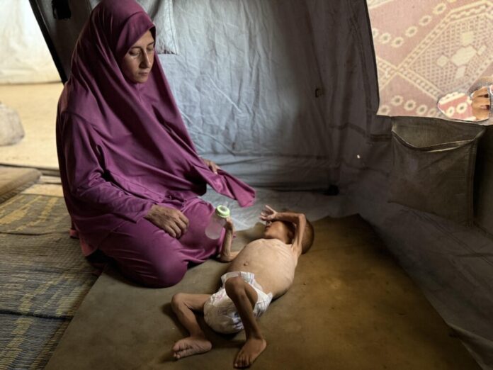 d0f5ae4f-b181-4fe6-87d9-bfc6e7de25c9