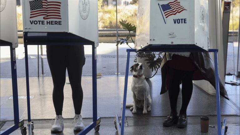 Elecciones en Nueva York, Virginia y Nueva Jersey ponen a prueba la influencia de Trump