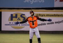 Celestino y Castillo conducen triunfo de los Toros del Este 10-3 sobre los Gigantes