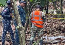 Agencias estadounidenses colaboran en la búsqueda de Brianna Genao