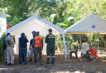 Continúa búsqueda de Brianna Genao, a 15 días de su desaparición