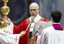 El Papa dice: Salud mental juvenil es una urgencia global