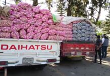 Productores de ajo protestan en Constanza por supuesto retrasos en pagos