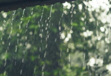 Indomet pronostica continuación de aguaceros este viernes