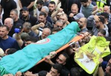 Israel y el Líbano asumen un alto al fuego de 10 días