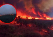 Unos 170 incendios en Georgia y Florida provocan evacuaciones y destruyen 49 viviendas