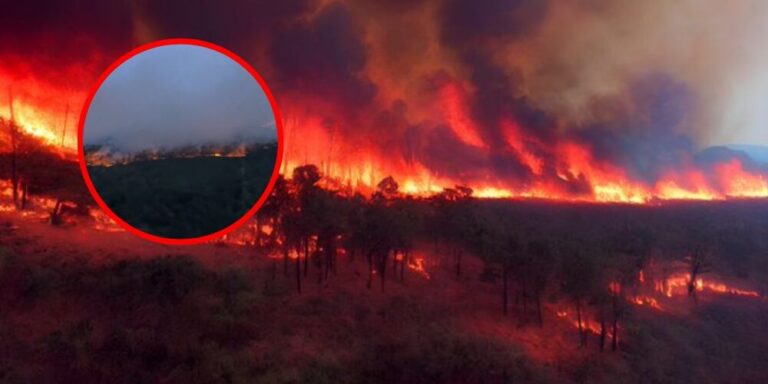 Unos 170 incendios en Georgia y Florida provocan evacuaciones y destruyen 49 viviendas