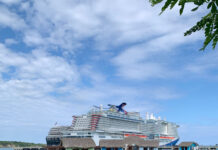 Crucero que atracó en Puerto Plata tiene más de 100 personas infectadas por norovirus