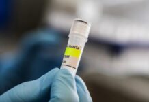 La OMS reporta cinco casos confirmados de hantavirus y tres sospechosos