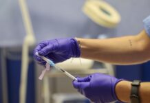 La EMA busca tratamientos contra el hantavirus y alerta de bulos sobre vacunas del COVID