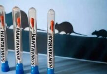 La OMS mantiene en once los casos de hantavirus y un riesgo bajo para la población