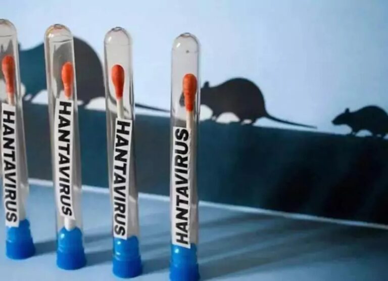 La OMS mantiene en once los casos de hantavirus y un riesgo bajo para la población