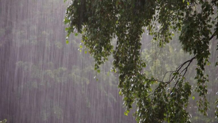 Vaguada y onda tropical provocarán fuertes aguaceros; mantienen alertas por inundaciones