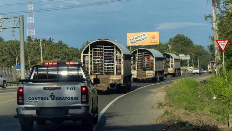 Caen dos empleados de Migración por transportar haitianos indocumentados en vehículos oficiales