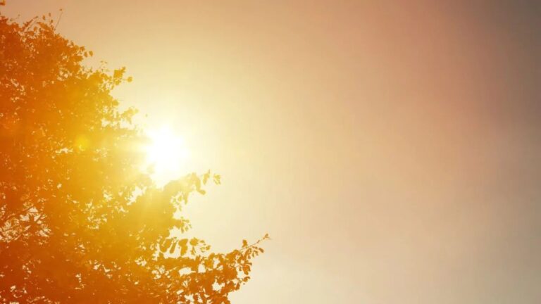 Calor sofocante, polvo del Sahara y aguaceros marcarán el clima de este lunes